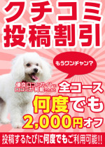 口コミ投稿割引2000円オフ！